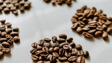 Coffee Bean Roast Levels