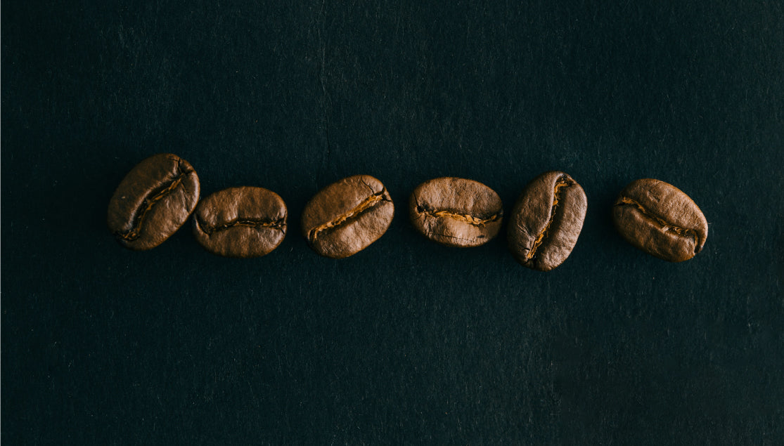 Know Your Coffee: Coffee Varietals and Cultivars