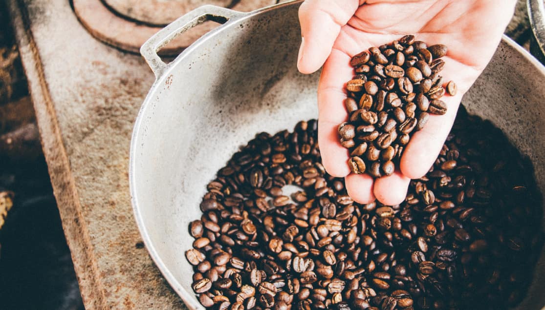 Coffee Arabica
