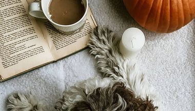 Dog with coffee