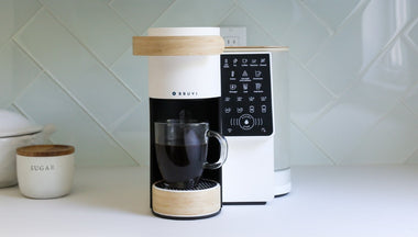 Bruvi BV-01 Brewer
