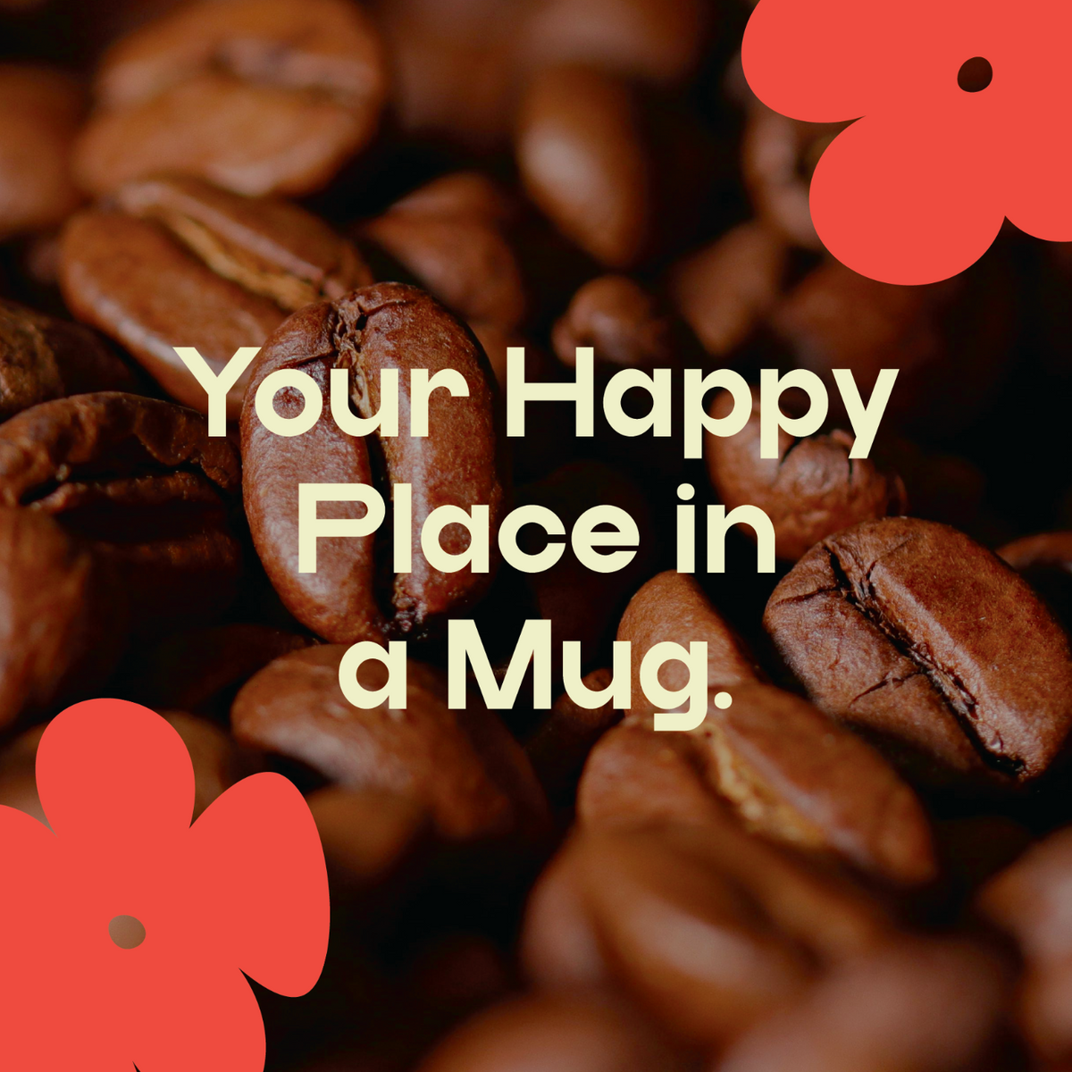 your happy place in a mug. Poppy Hill