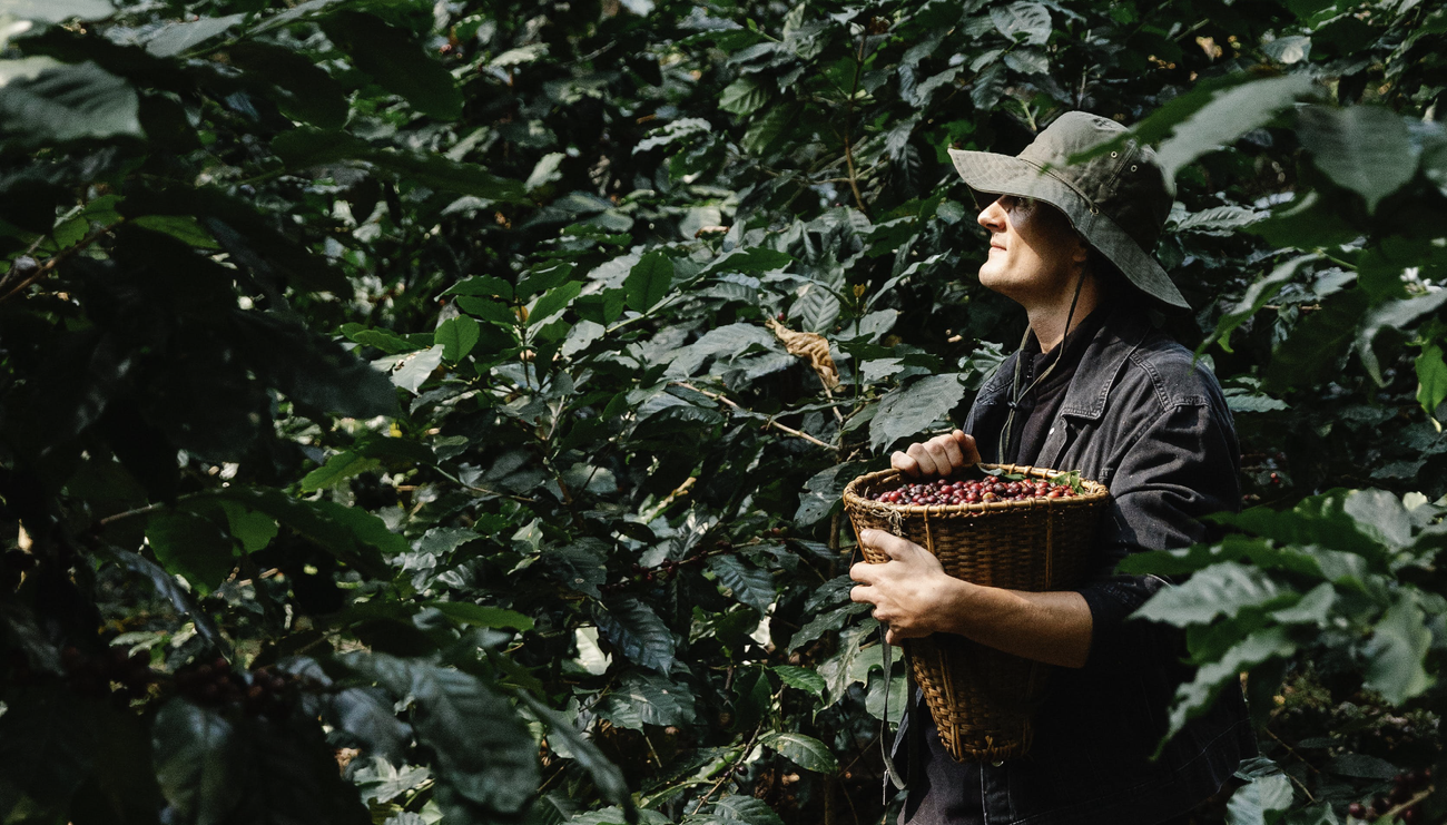 Three Trends in Specialty Coffee