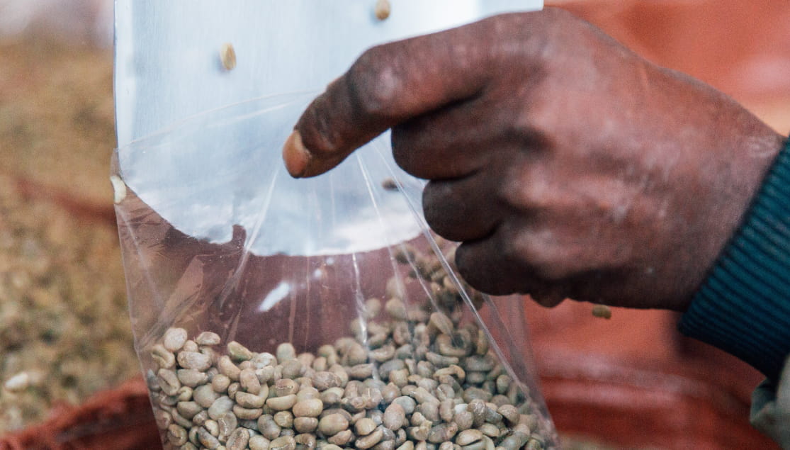 Man Processing Coffee Beans