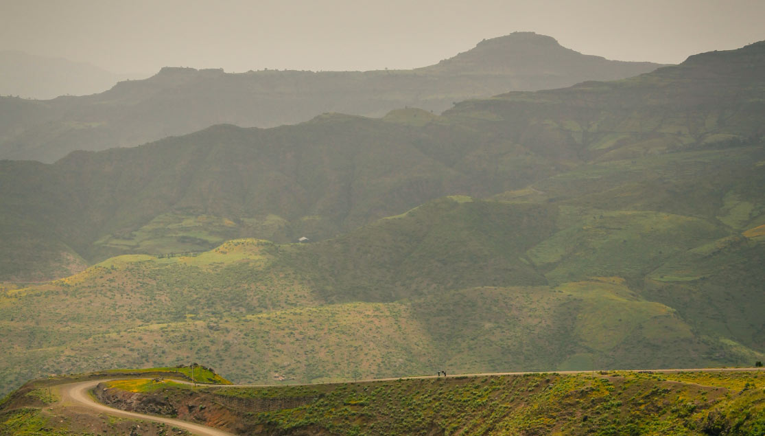 Ethiopian Coffee Landscape