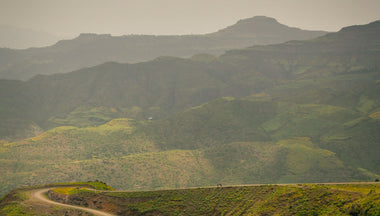 Ethiopian Coffee Landscape