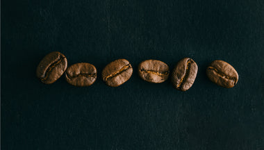 Know Your Coffee: Coffee Varietals and Cultivars
