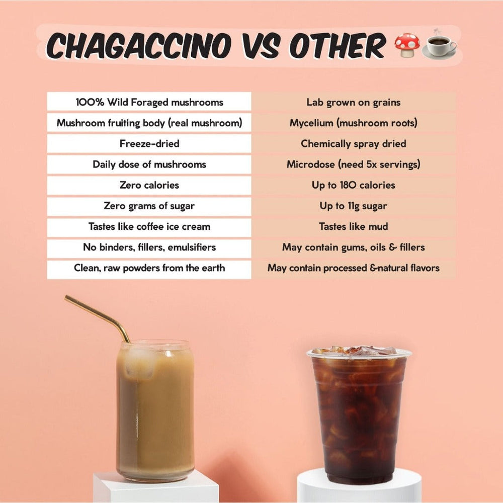 Chagaccino: Adaptogen Boost