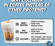 Collagen Crush: Adaptogen Protein