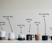 17 oz Manzanita Mug