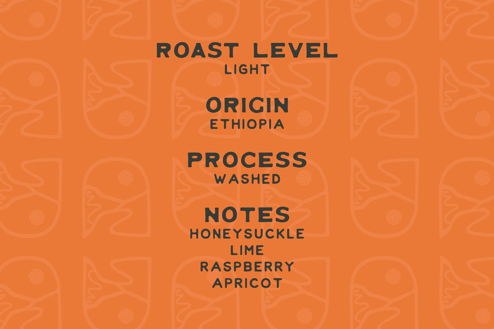 Ethiopia Coffee
